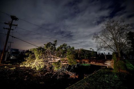 خسارت توفان به شبکه برق بجستان